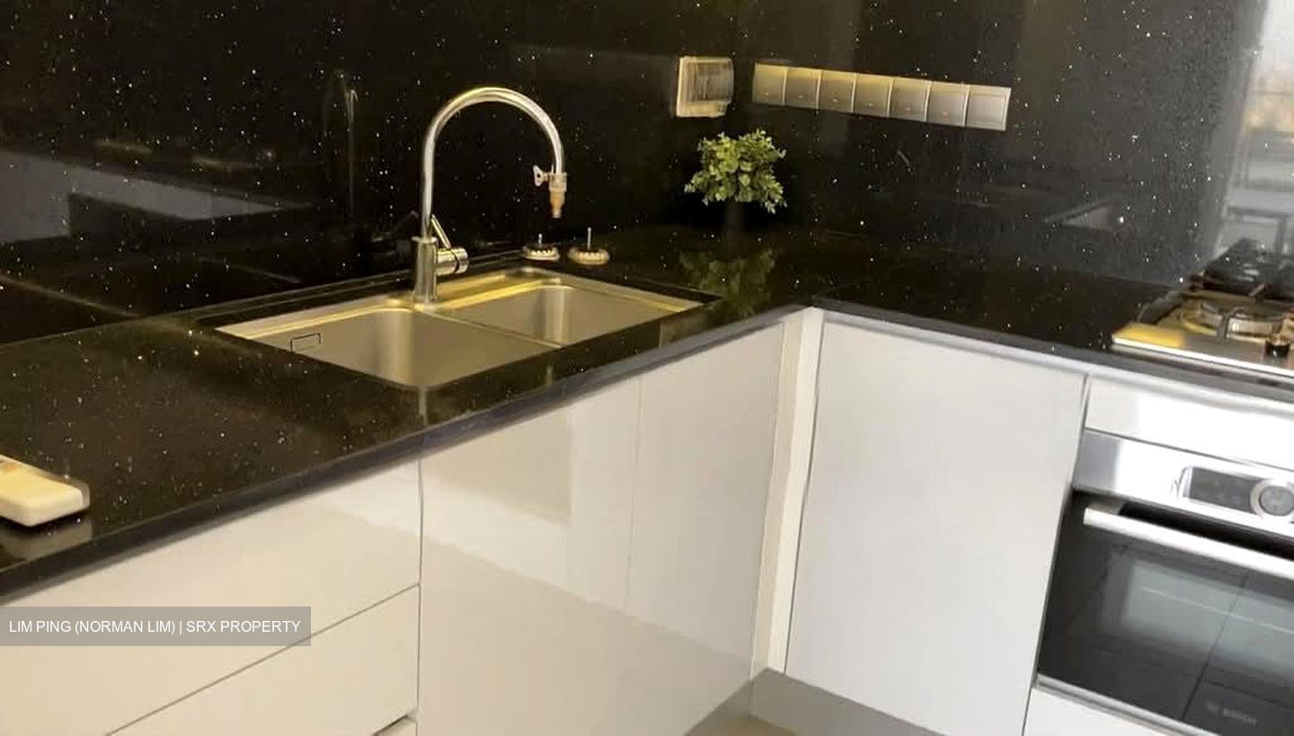 Kallang Riverside (D12), Apartment #555095801